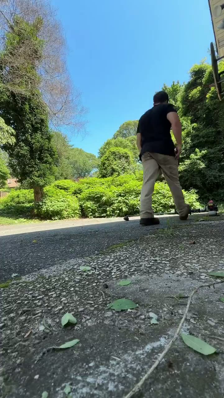 Seasonal Cleanups