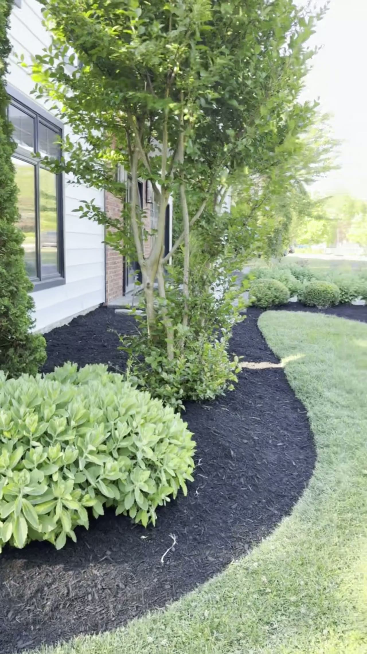 Black mulch bed walkthrough
