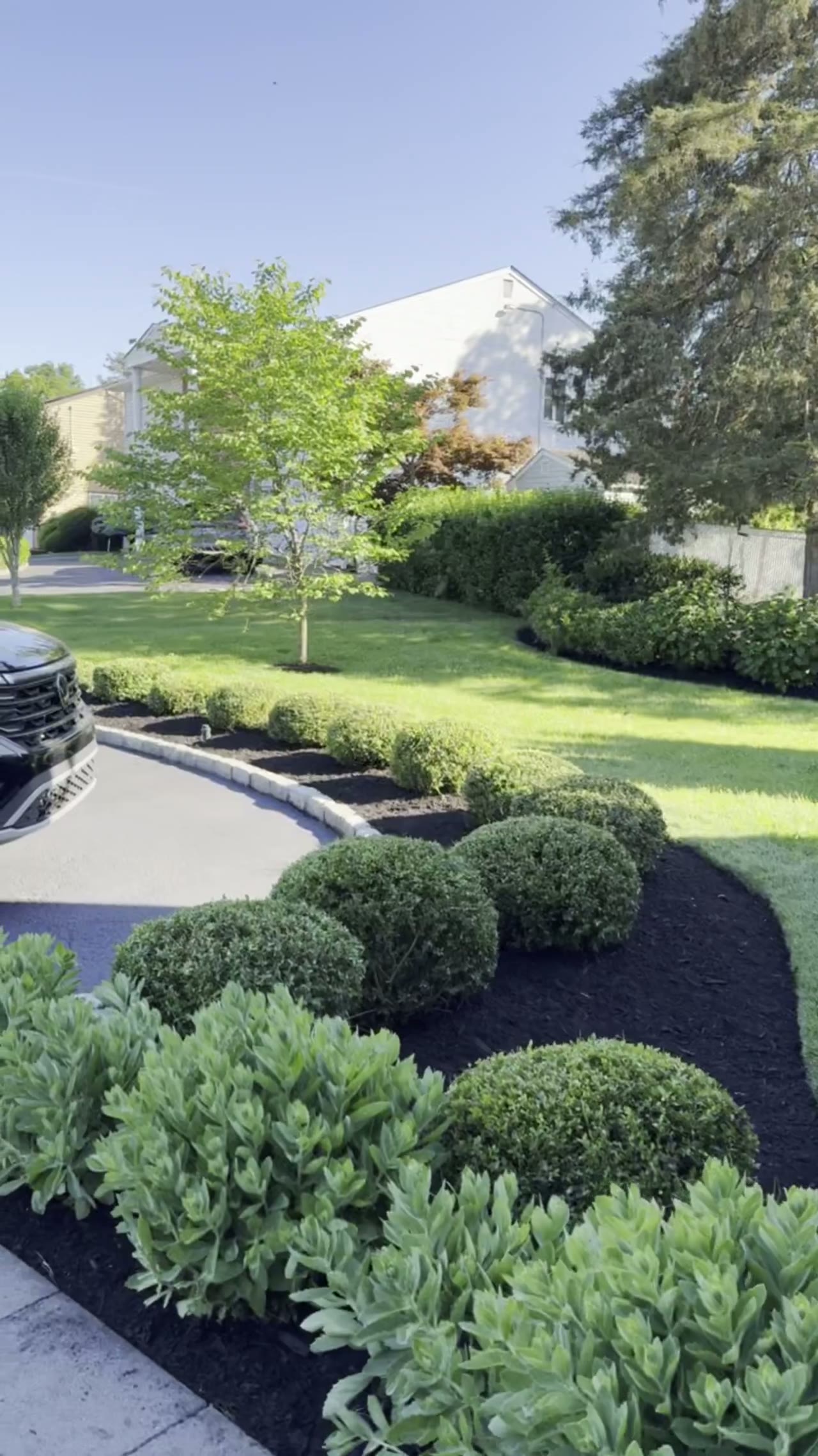 Full property landscape design